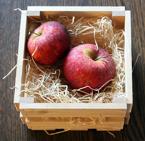 Apples of the Danish variety Ingrid Marie in wooden basket with woodwool. Autumn/winterapple.