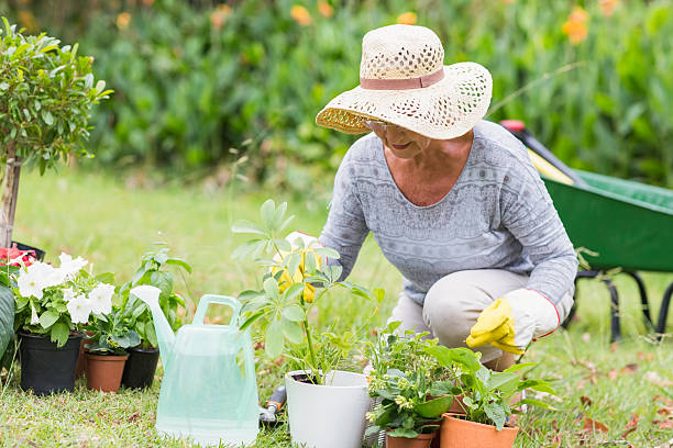 istock Happy grandmother gardening 481731722