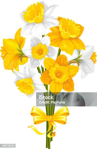 Daffodils Stock Illustration - Download Image Now - Daffodil, April, Aromatherapy