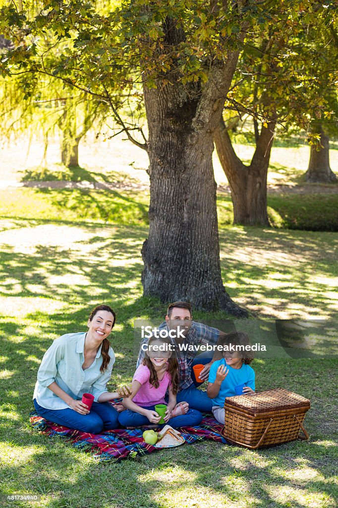 Happy family on a picnic in the park Happy family on a picnic in the park on a sunny day 2015 Stock Photo