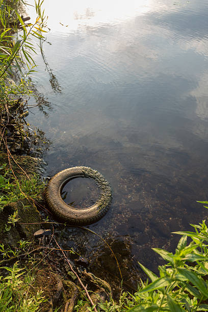 istock Tires in the lake 481735112