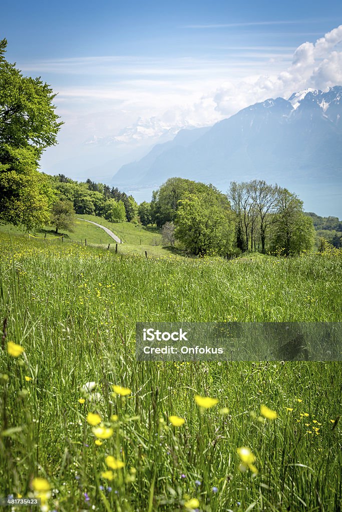 Mountain and Nature Landscape Around Leman lake, Switzerland Switzerland landscape Agricultural Field Stock Photo