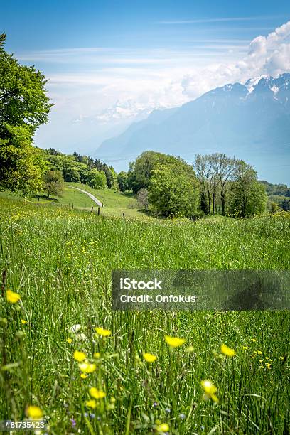 Mountain And Nature Landscape Around Leman Lake Switzerland Stock Photo - Download Image Now