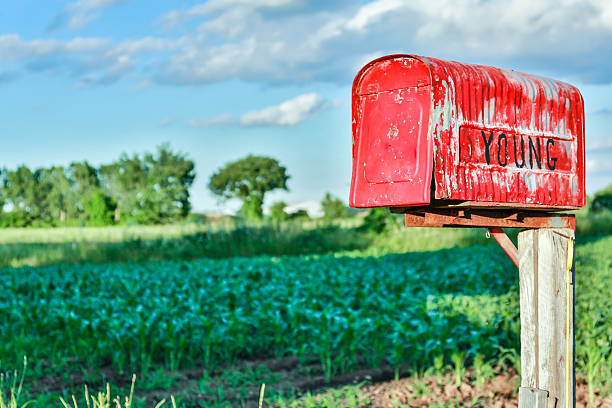 istock Rusty Red Mailbox in Summer Field with Young Written on 481739309