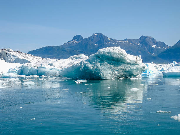 istock Sea of ice 481739958