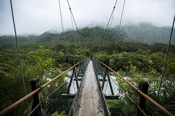istock Suspended bridge to the forest 481739990