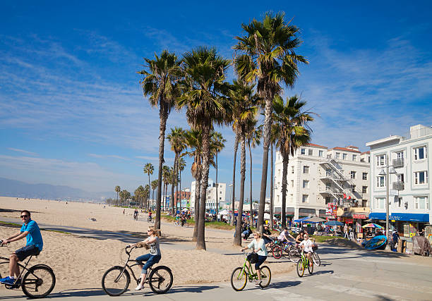 orla de venice beach, los angeles, califórnia - palm tree california city of los angeles venice beach - fotografias e filmes do acervo