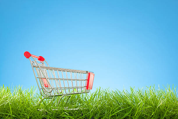 istock Empty Shopping Cart in Grass with Blue Sky 481744895