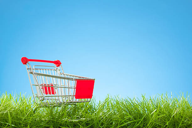 istock Empty Shopping Cart in Grass with Blue Sky 481744899