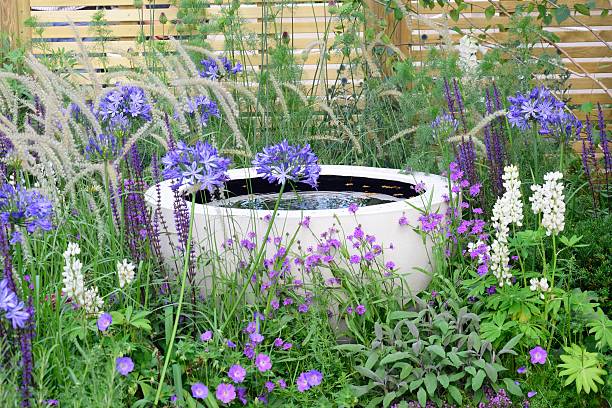 wasserspiel mit lila blumen - garden feature stock-fotos und bilder