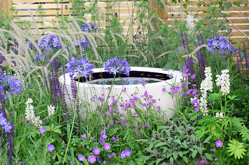 Colorful Water garden with fountain and a nice mix of seasonal shrubs and bushes in late summer.