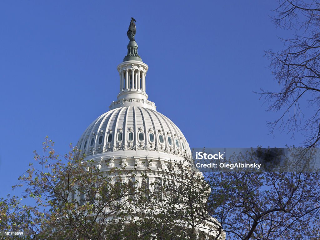 Gros plan de Capitol Dome, Washington, D.C.  Ciel bleu. - Photo de Arbre libre de droits