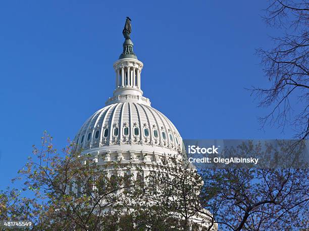 Photo libre de droit de Gros Plan De Capitol Dome Washington Dc Ciel Bleu banque d'images et plus d'images libres de droit de Arbre