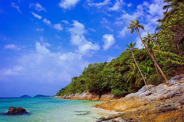 istock Tropical beach Taling Ngam Beach. Koh Samui island. 481749748