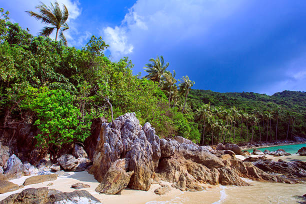istock Tropical beach Taling Ngam Beach. Koh Samui island. 481749750