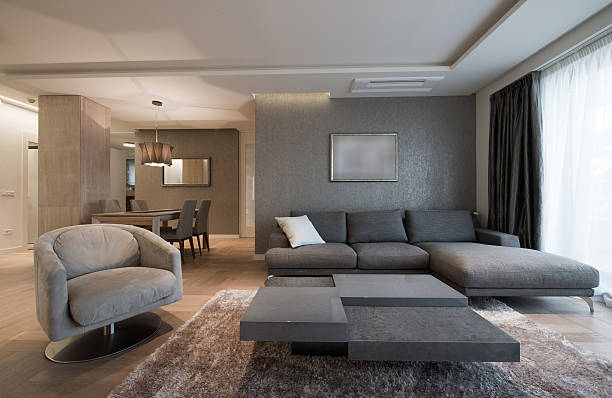 istock Contemporary living room interior 481750883