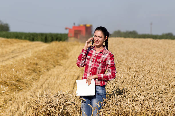 linda mulher falando no telefone celular no campo de trigo - talking on the phone owner mobile phone - fotografias e filmes do acervo