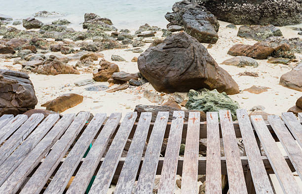 istock Wooden Bridge and Cleared Sea 481751228