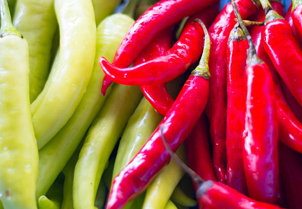 istock Image of green and red Hot Chili 481751528
