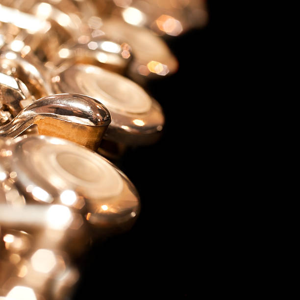 Close-up of a key part of a silver flute, against a nature background of tree bark.