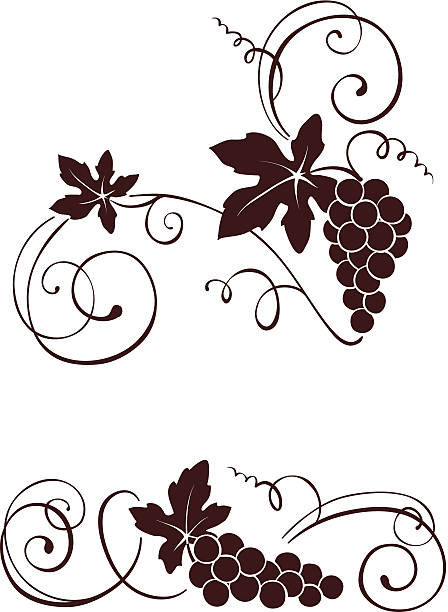 winorośli z swirls - grape nature design berry fruit stock illustrations