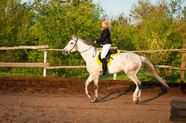 istock Horsewoman at hippodrome and blue sky 481755310