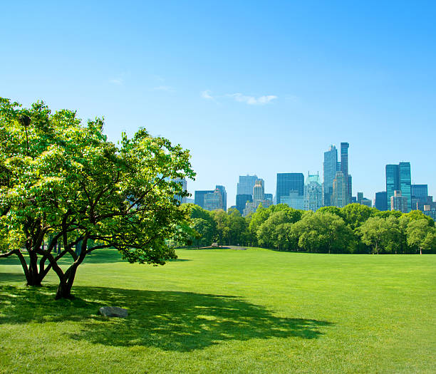 istock nature in the city 481755697