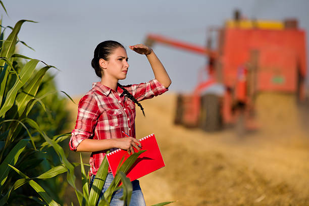 Beautiful girl agronomist with note book standing in golden wheat field, combine harvesting in background