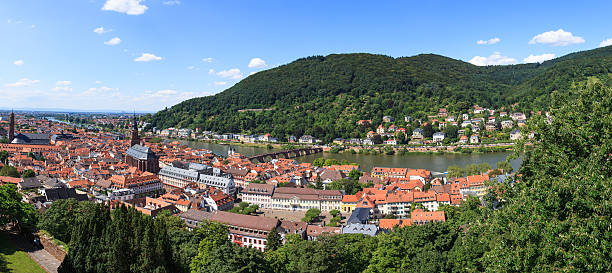 istock Heidelberg city panorama 481760872