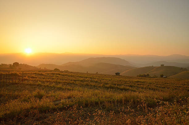 istock Rice Terrace at Maechaem in Thailand 481760904