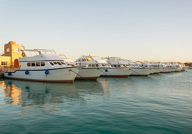istock yachts docked in the marina in the evening 481765152