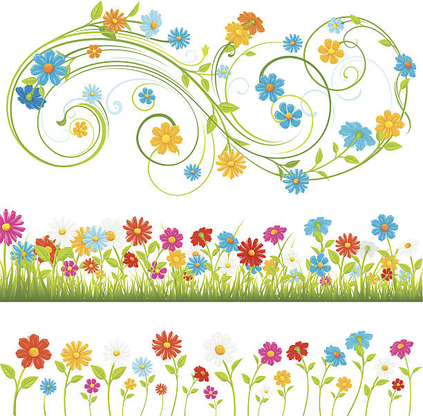 ilustraciones, imágenes clip art, dibujos animados e iconos de stock de flores de primavera - daisy multi colored flower bed flower