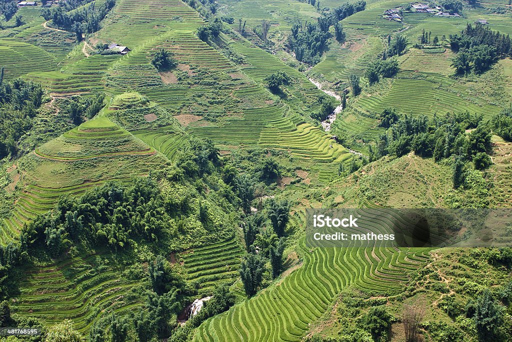 Paddy campos y casas de pueblo - Foto de stock de Agricultura libre de derechos