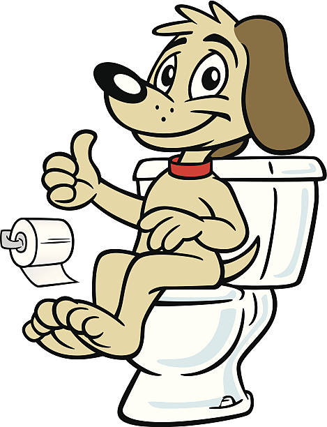 Dog Sitting On Toilet Stock Illustration - Download Image Now - Toilet, Dog, Humor - iStock Dog Sitting On Toilet Stock Illustration - Download Image Now - Toilet, Dog, Humor - iStock