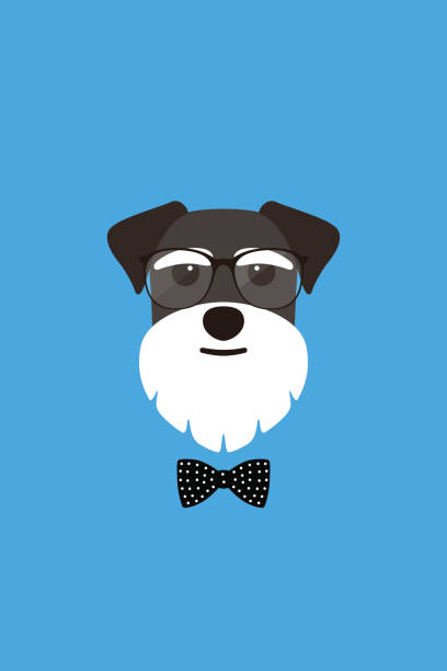 Fashion portrait of dog, gentlemen dog Gentlemen dog wear glasses and bowknot like a man, Fashion portrait of dog, schnauzer animal head man stock illustrations