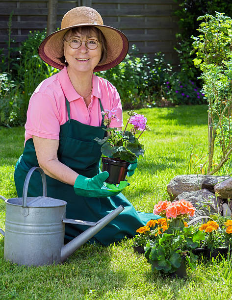 istock Active senior women working in her garden. 481775328
