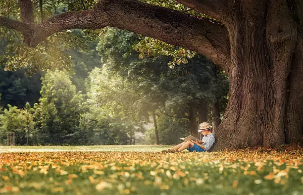 Photo of Little boy reading a book under big linden tree
