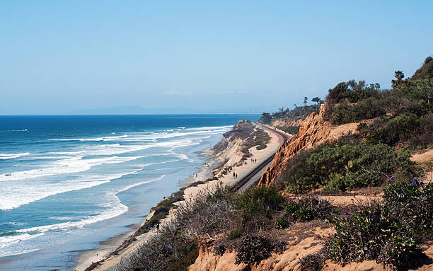 del mar побережье - torrey pines state reserve стоковые фото и изображения