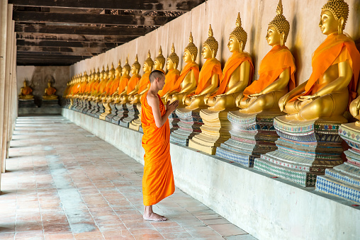 Monks at temple in Ayutthaya, Thailand.