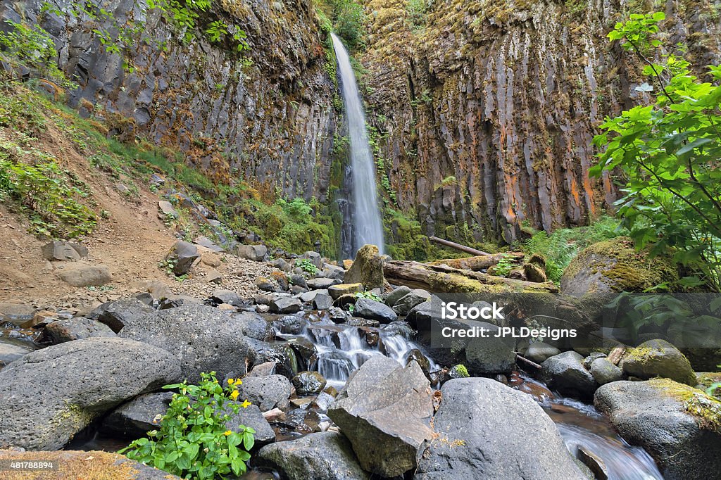 Dry Creek Falls in Columbia River Gorge Dry Creek Falls Along Pacific Crest Trail in Columbia River Gorge National Scenic Forest in Oregon 2015 Stock Photo