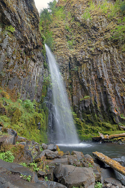 istock Dry Creek Falls in Columbia River Gorge Vertical 481788898