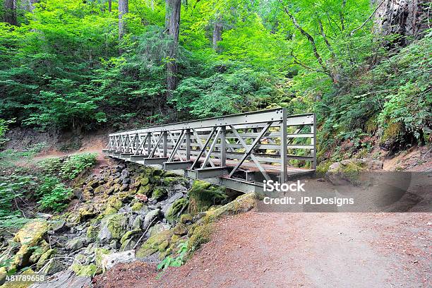 Pedestrian Bridge At Hiking Trail Stock Photo - Download Image Now - 2015, Fern, Forest