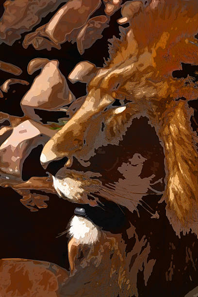 istock Abstract Close-up illustration of Large Lion face 481790012