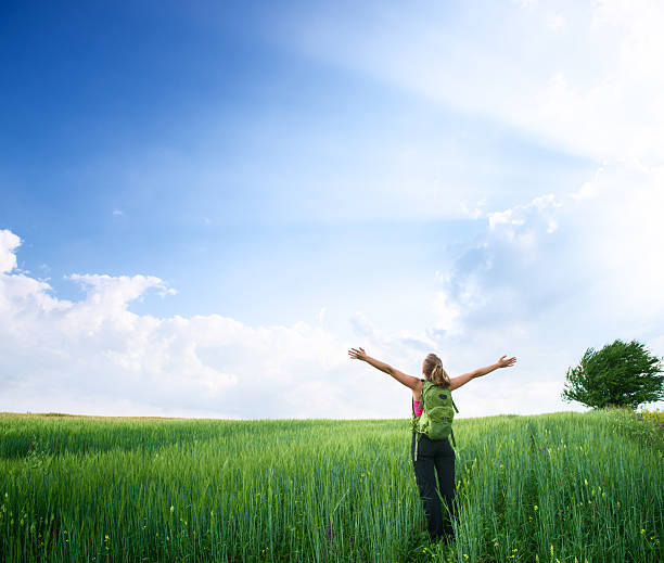 istock Freedom in the green field 481790696