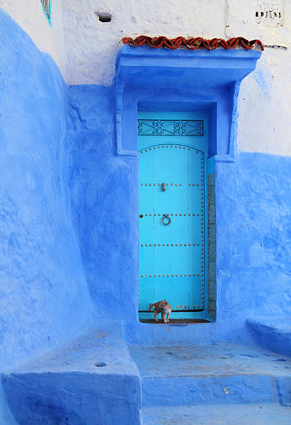 istock Medina of Chefchaouen, Morocco. 481791347