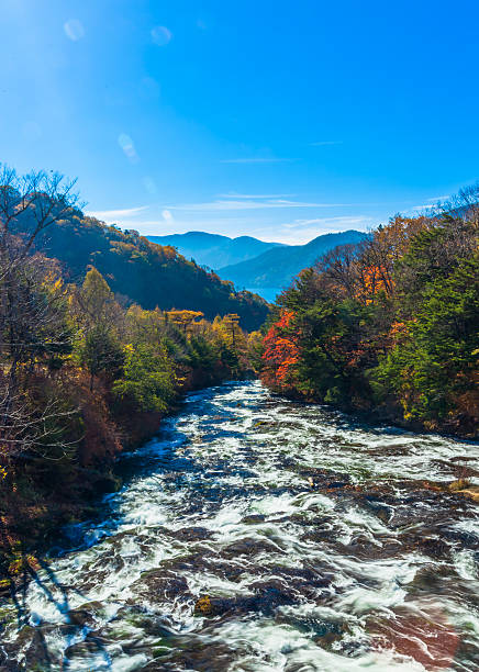 istock Yukawa river under the autumn sky 481793458