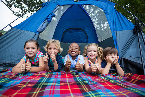 キャンプ旅行で幸せな兄弟 - camping family nature tent ストックフォトと画像