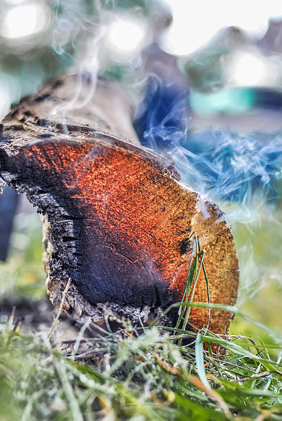 Smoking Log stock photo