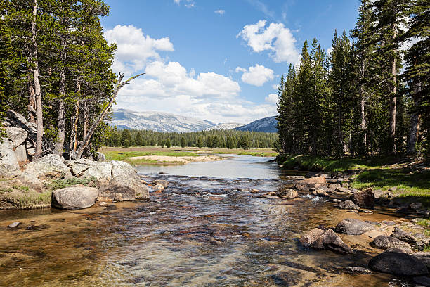 istock Toulumne River in Yosemite 481811266