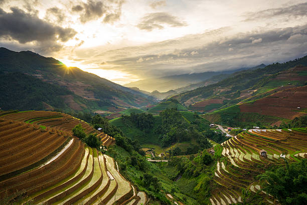 istock Rice fields on terraced in rainny season at Vietnam. 481815160
